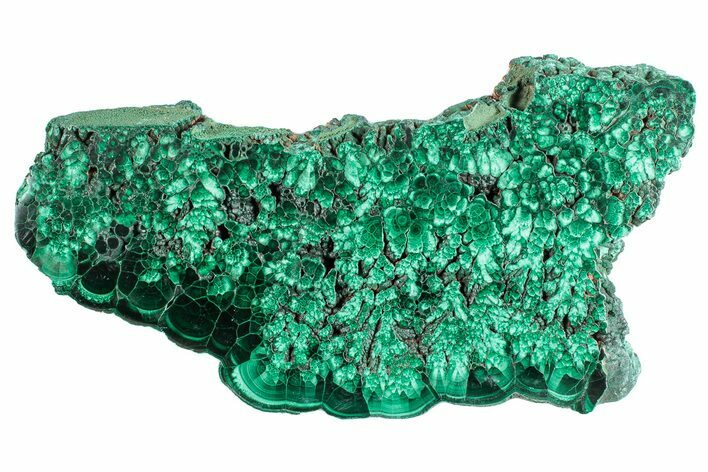 Flowery Polished Malachite Slab - DR Congo #284402